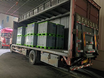 11月7日绍兴诸暨至上海