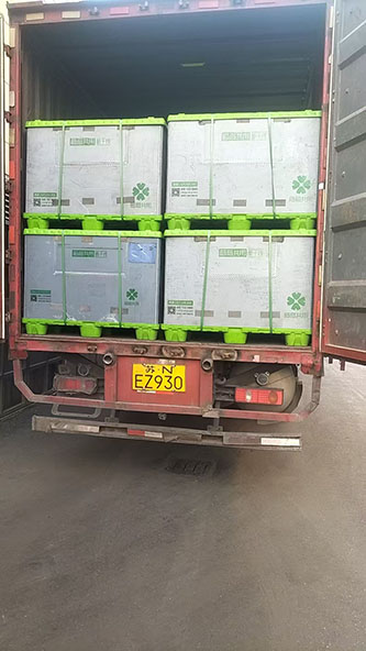 11月30日诸暨至上海汇众