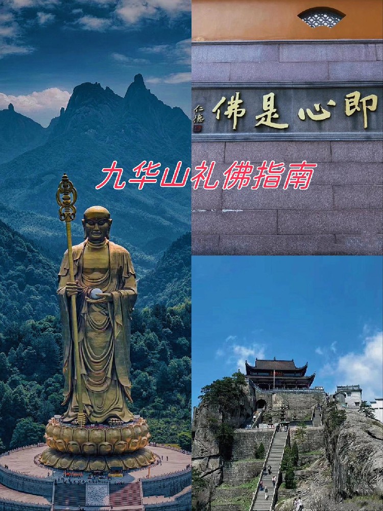 10dfa9ec8a1363273cf7ca000b1056e108fac71c.jpeg