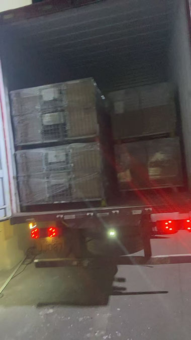 2月2日诸暨至诸暨至张家港后杆