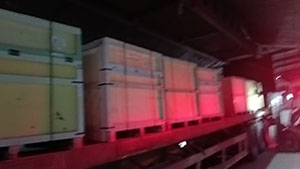 3月27日诸暨至上海浦东恩源进仓三票