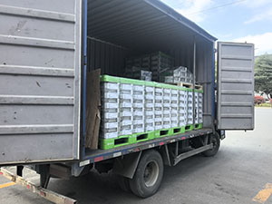 3月29日诸暨至张家港采埃孚汽车系统（张家港）有限公司