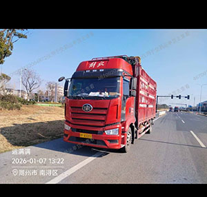 李瑞个人6.8高栏车···